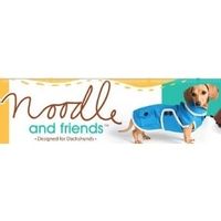 Noodle and Friends coupons